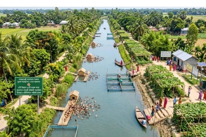 জীবিকা-কর্মসংস্থানের বহুমুখী সম্ভাবনা নিয়ে আসছে মডেল খাল কর্মসূচি