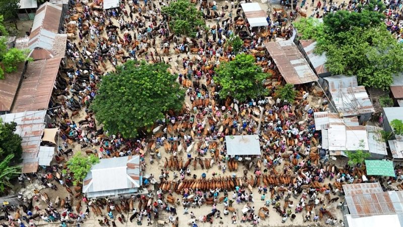 দুর্গম চরাঞ্চলে উড়ছে পুলিশের ড্রোন