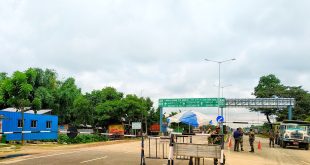ভারতের নিষেধাজ্ঞা ‘উদযাপন’!
