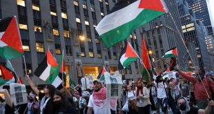 স্বাধীন ফিলিস্তিন রাষ্ট্র গঠনে স্বীকৃতির পক্ষে বেশিরভাগ আমেরিকান