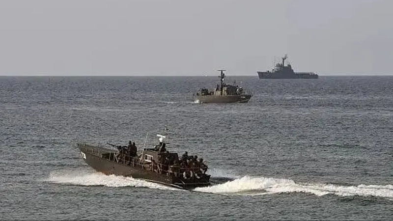 একই সময়ে ভারত-পাকিস্তানের সামরিক মহড়ার নেপথ্যে